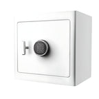 Barska 1.01 Cu. Ft. Fireproof Jewelry Safe – AX13104 (White) & AX13106 (Black)