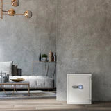 Barska 4.48 Cu. Ft. Biometric Fireproof Security Safe (AX13496)