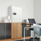 Barska 736-Key Capacity Keypad Wall Key Safe (AX13500)