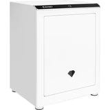 Barska Diamond 2.4 Cu. Ft. Touchscreen Biometric Security Safe (AX13940)